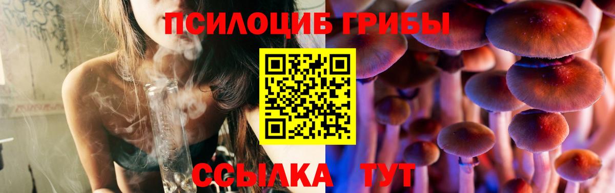 Псилоцибиновые грибы прущие грибы Симферополь